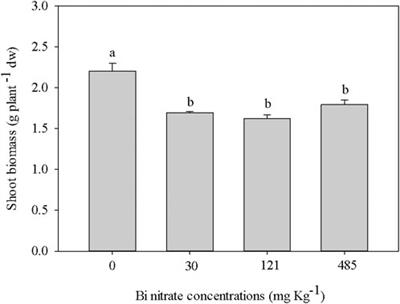 Bismuth exposure affects morpho-physiological performances and the ionomic profile in garden cress (Lepidium sativum L.) plants